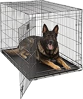 MidWest LifeStages 48 Inch XL Folding Dog Crate Single Door - Secure Paw Block, Leak-Proof Pan, Divider for Extra Large Breeds