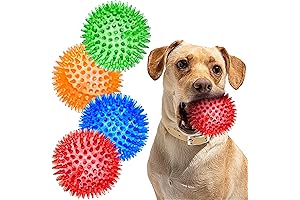 Spiky Jabber Balls: Squeaky Indestructible Dog Chew Toys for Small Dogs