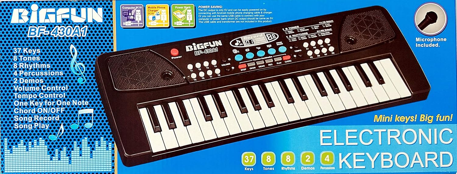Buy Bigfun Electronic Piano Keyboard with 37 Keys Musical Instruments