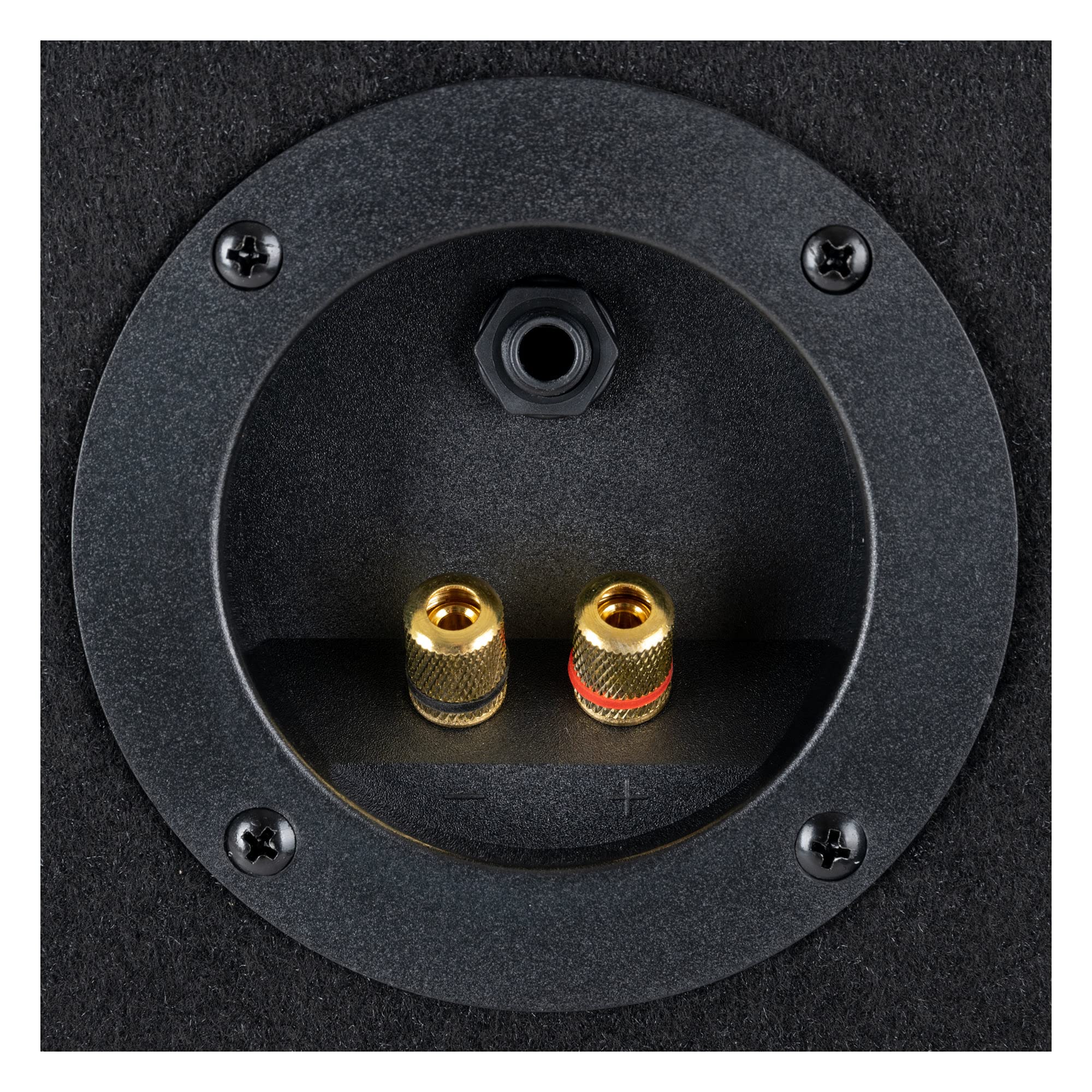 McGrey TP-10 Enceinte de Party et DJ la Paire 2 x 400 W