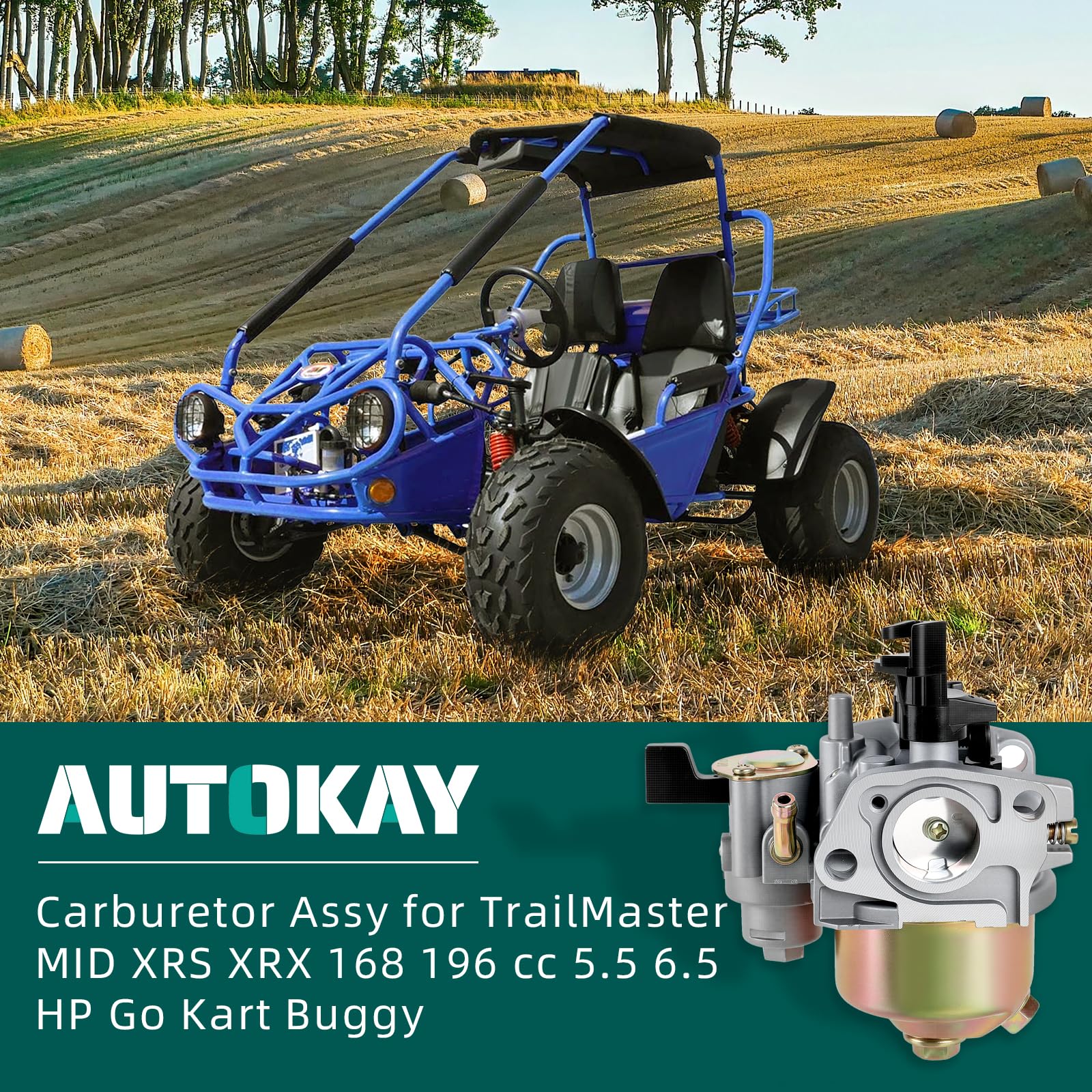 CARBURETOR CARB FOR GO KART BUGGY TRAILMASTER MID XRS XRX 168CC - Foto 2