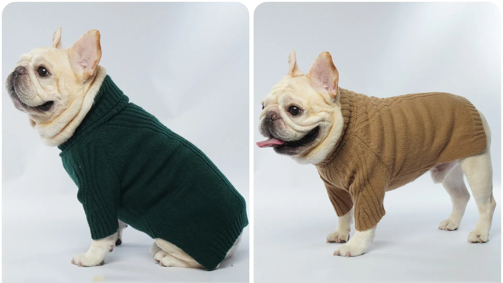 Amazon | IECOii タートルネックの犬 セーター 犬 服 冬 暖かいペット 