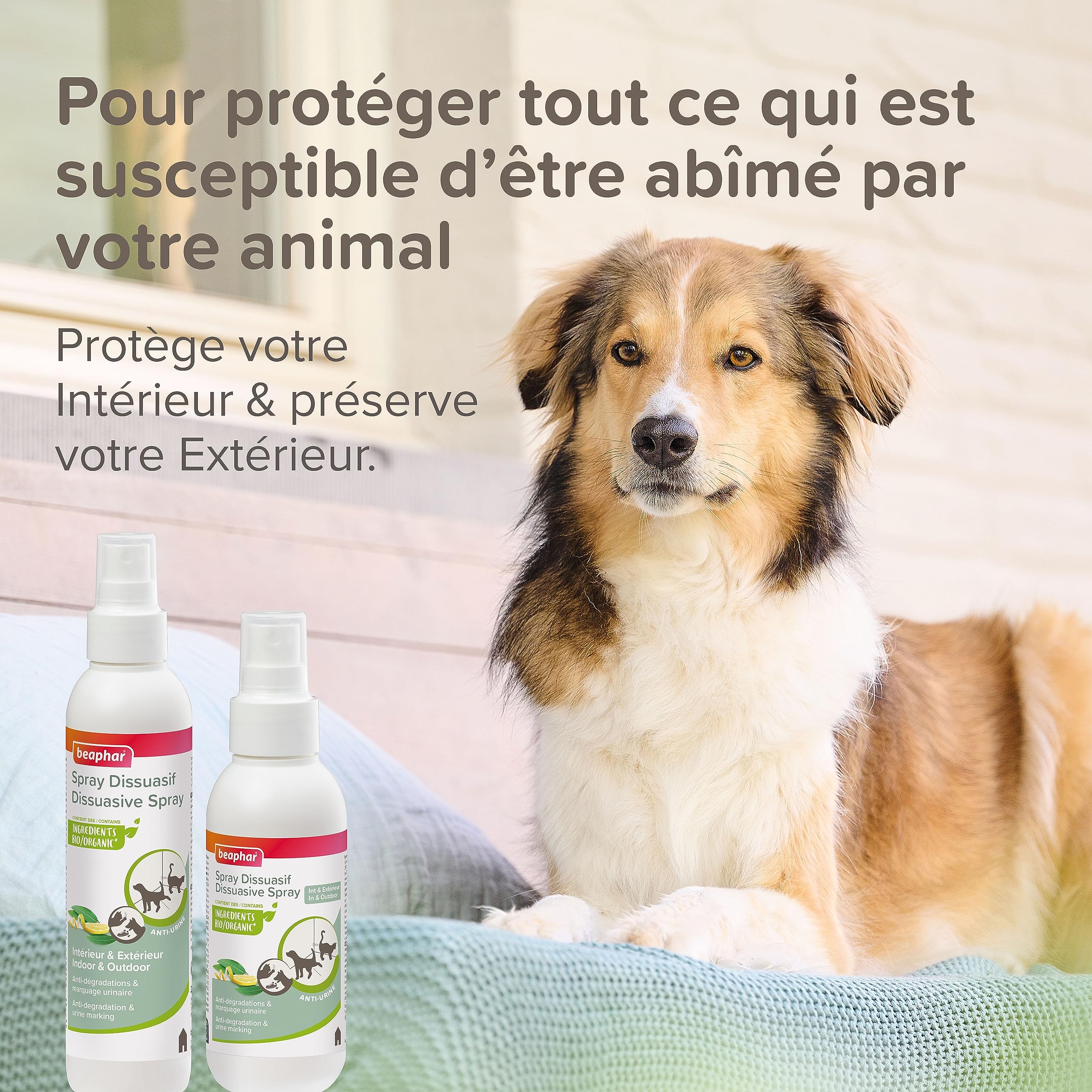 Beaphar – Spray Dissuasif pour Chien et Chat – Anti-dégradations & Anti-marquage urinaire – Protège Votre Intérieur & Votre Extérieur – Contient des Ingrédients Bio – Fabriqué en France – 250ml