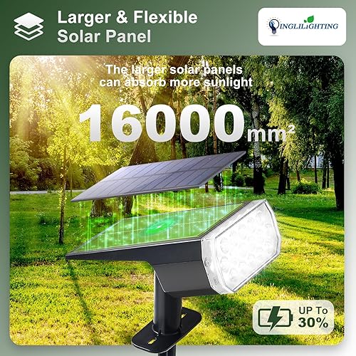 Miniatura 2 de DINGLILIGHTING Luces solares impermeables para exteriores IP65 LED Spot Light Decoraciones para jardín - 3 modos de iluminación alimentados por