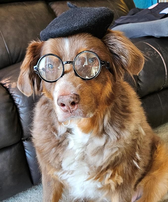Disfraz de Perro Retro con Gafas de Sol y Boina - Talla Pequeña/Mediana miniatura 5