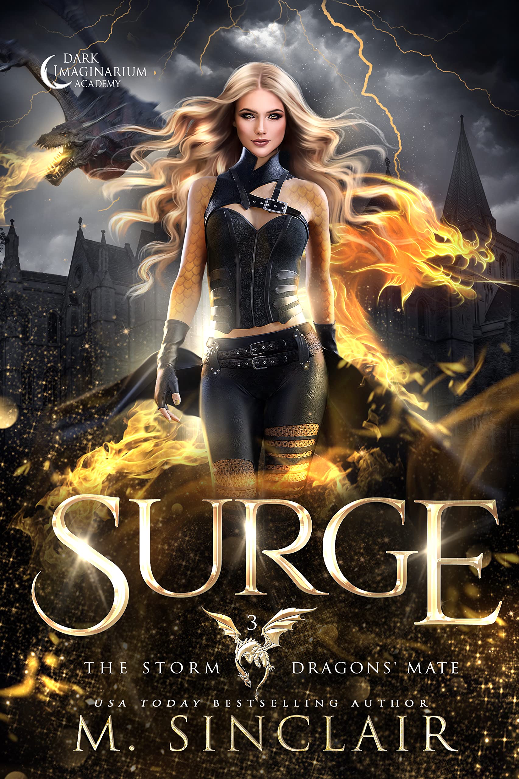 Cover of Surge