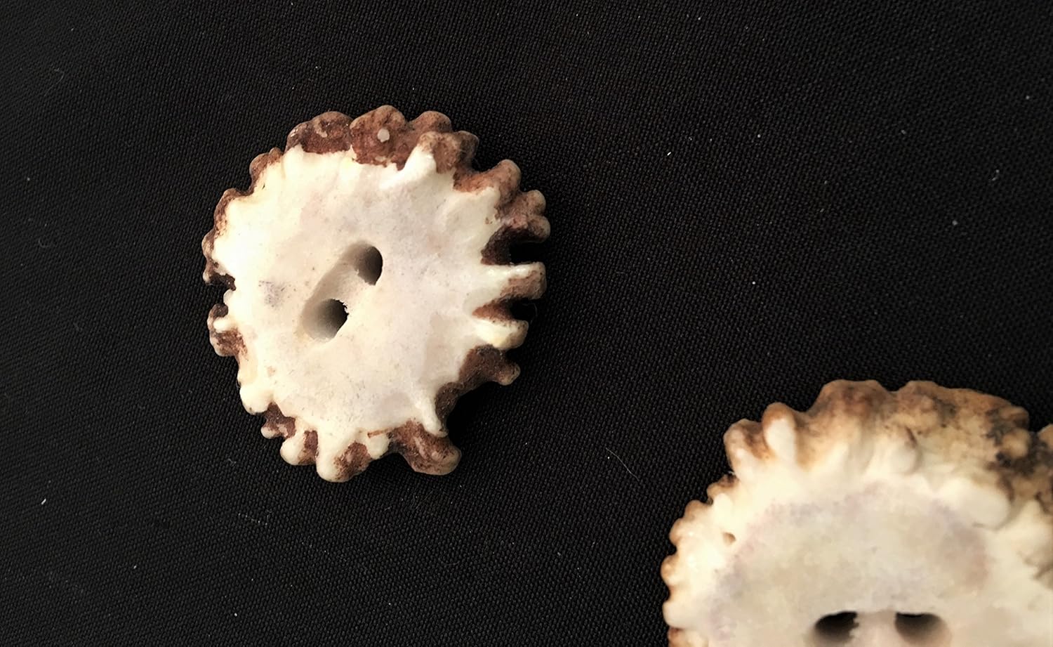 6 Hand Carved Naturally Shed Antler Buttons
