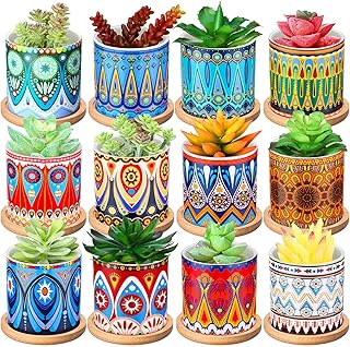 Zopeal 12 Pcs 3 Inch Mandala Ceramic Succulent Pots with Bamboo Trays, S...