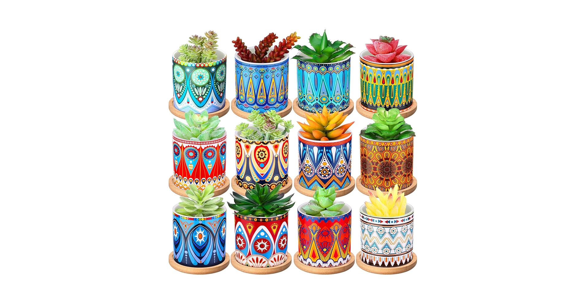 Amazon.com: Zopeal 12 Pcs 3 Inch Succulent Pots Succulent