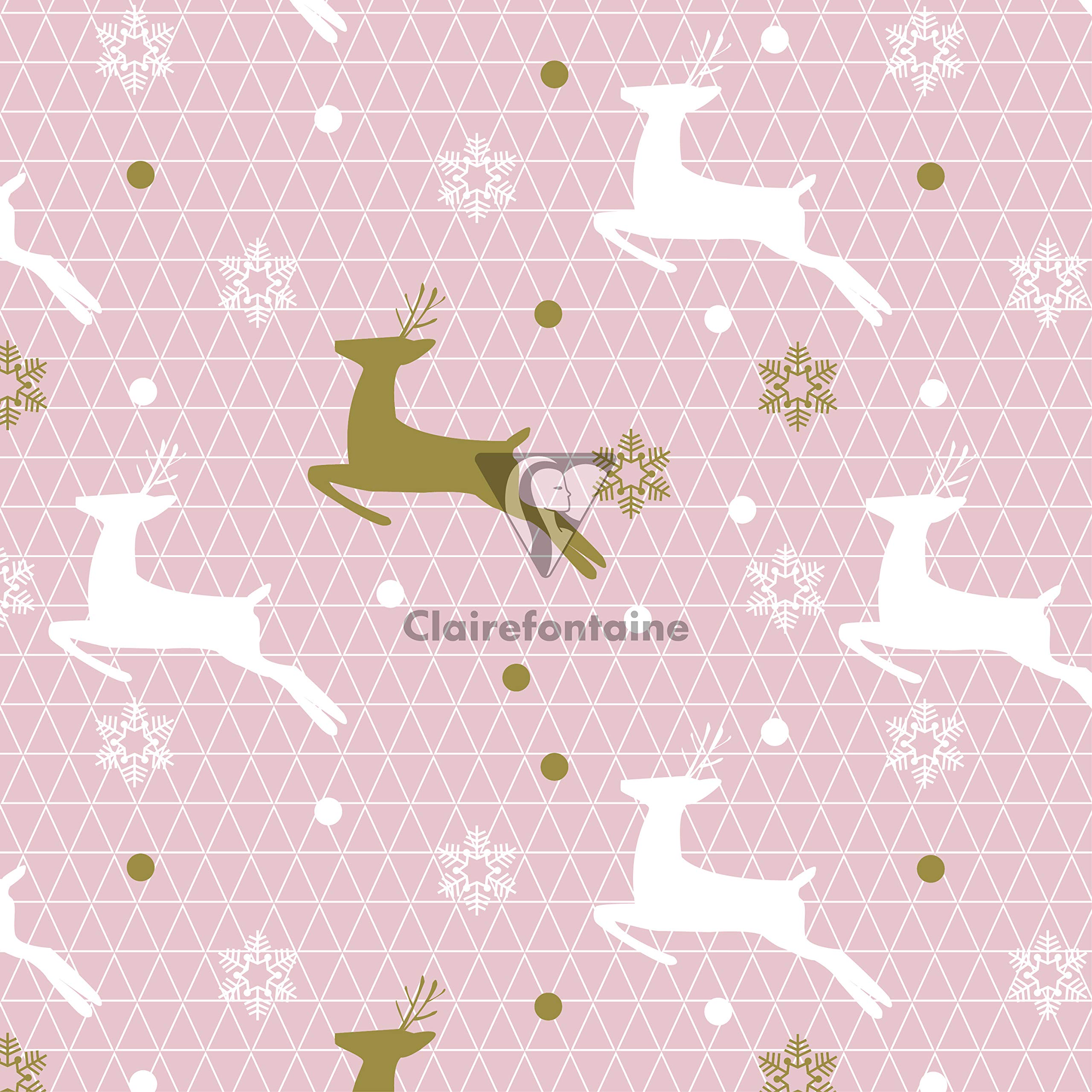 Clairefontaine 201965AMZC - Karton mit 10 Rollen Geschenkpapier Excellia 5mx0m70 80g, sortierte Motiven Cocooning