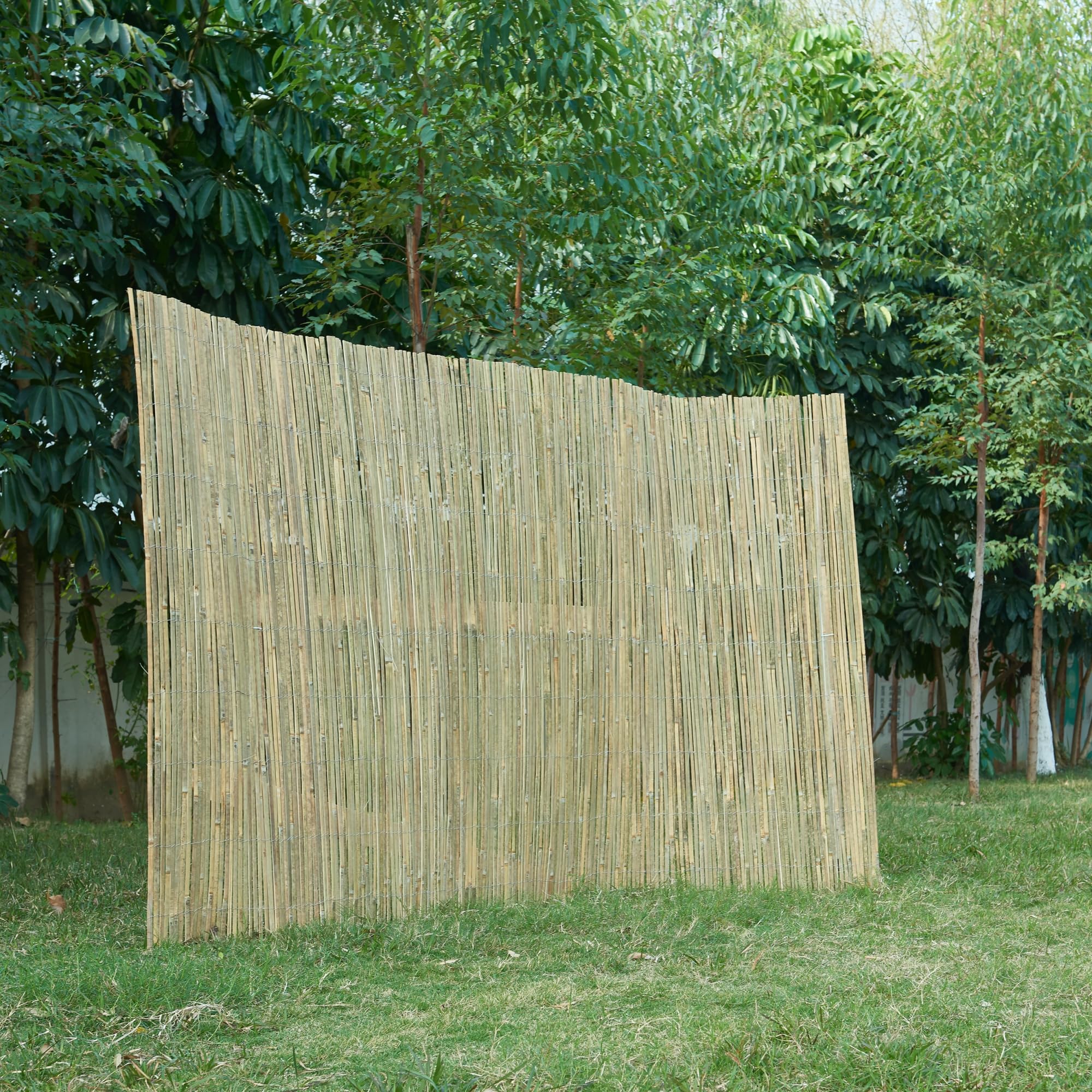casa.pro Valla Jardín Exterior Baarle Ocultación de Jardín Balcón Cañizo Terraza Pantalla de Privacidad Bambú Protección contra Viento 200 x 300 cm (AlxAn) - Aspecto Natural