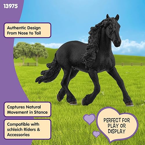 Miniatura 3 de Semental Friesio