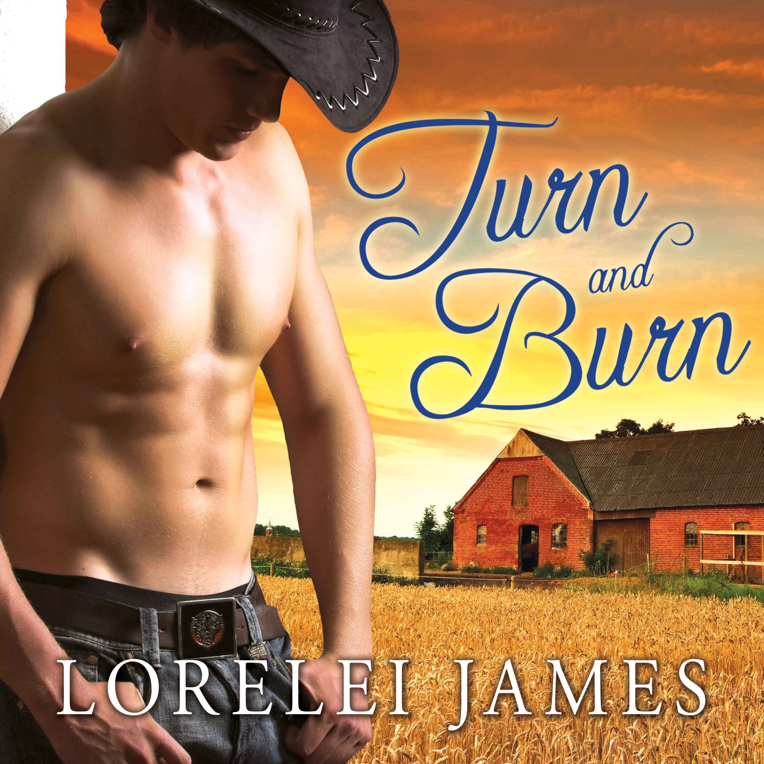 Cover art for Turn and Burn