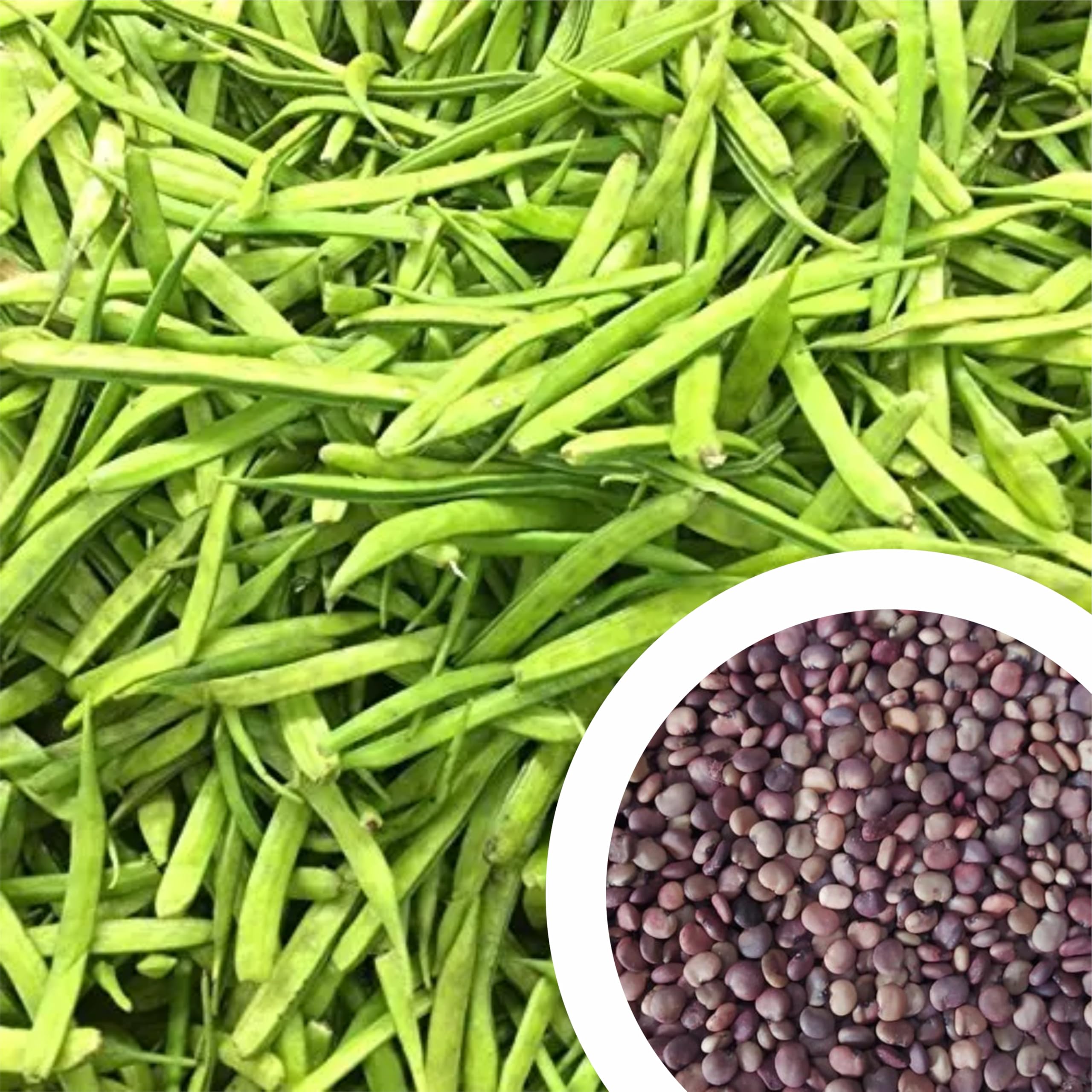 GROW DELIGHT Cluster Beans (Gawar) (100 Seeds) Vegetable Seeds for Home Garden, Organic & Hybrid, Perfect for Home Gardening, Planting For Pots and Patio (B0CNTDMR7V) Amazon Price History, Amazon Price Tracker