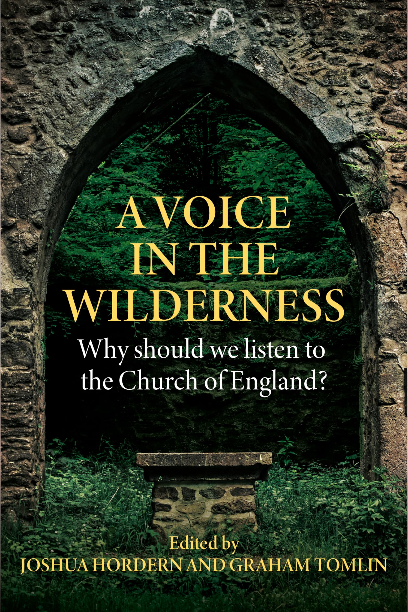 A Voice in the Wilderness: Why should we listen to the Church of England?