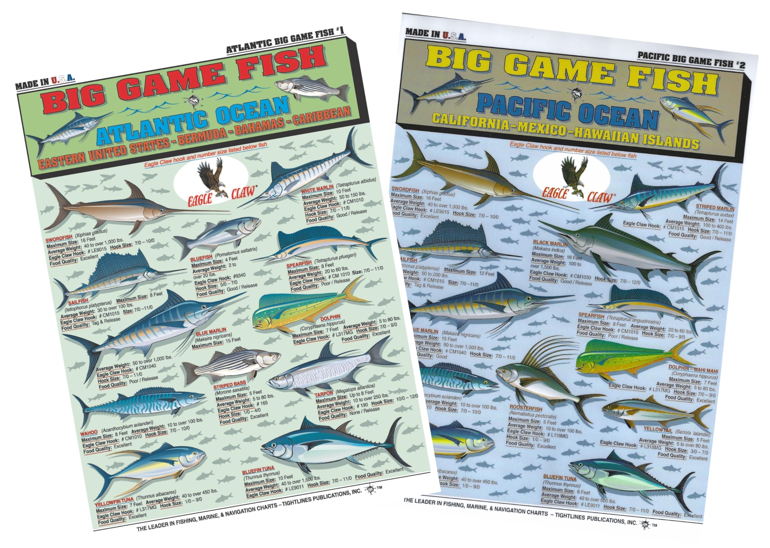 Identification des poissons de pêche guide étanche Atlantique Pacifique portable
