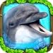 Dolphin Simulator