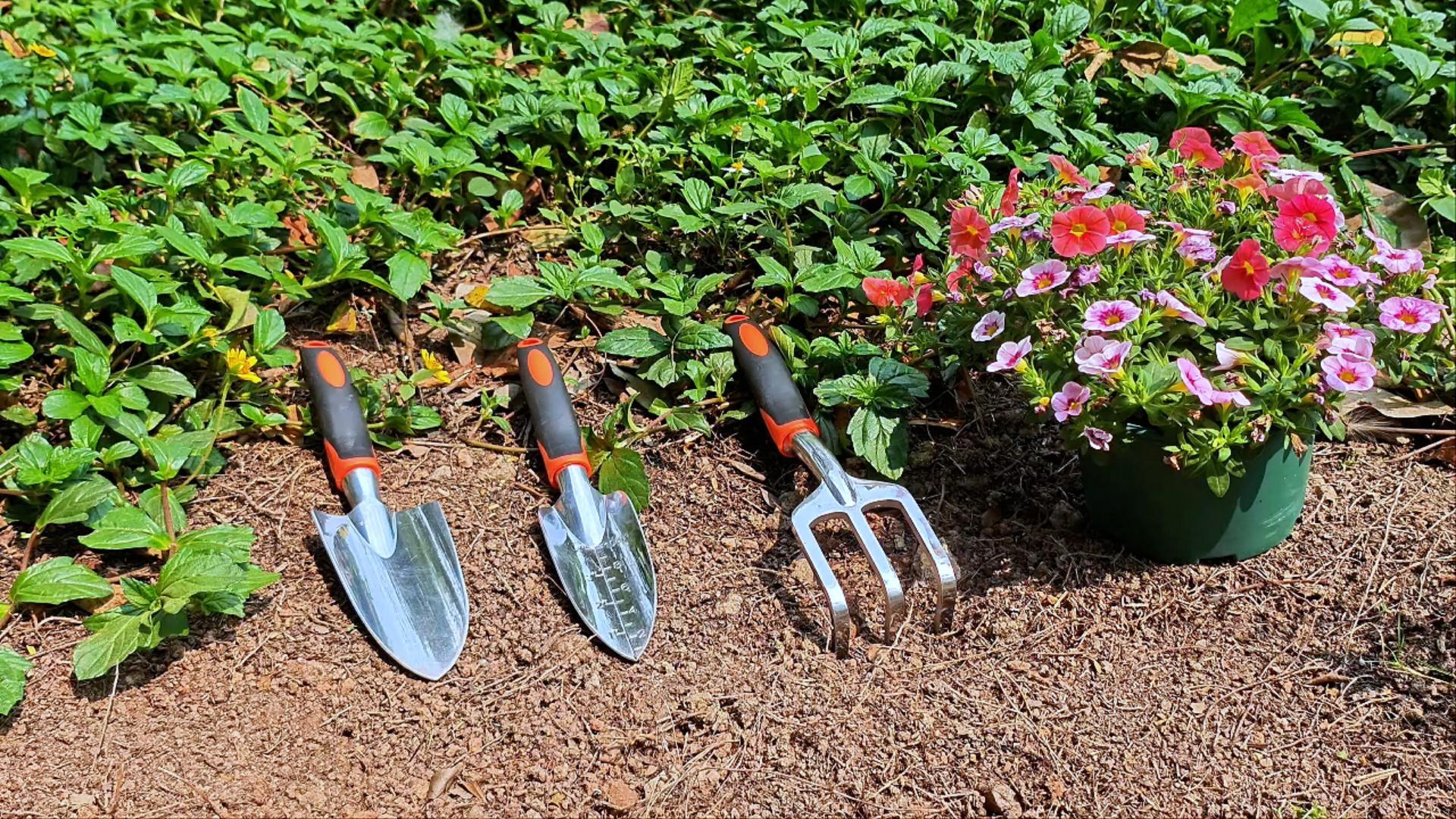 Amazon.com : Garden Tools Set, 3 Pack Heavy Duty Gardening Tools