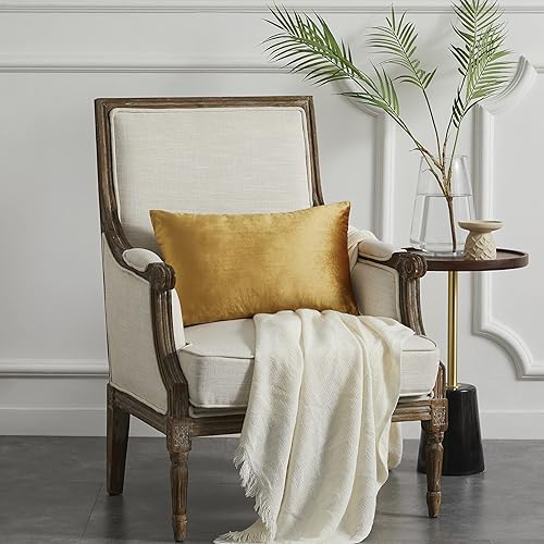 Vista 330 de GIGIZAZA - Juego de 2 fundas de almohada decorativas de 18 x 18 pulgadas, fundas de almohada cuadradas de terciopelo verde azulado pavo real