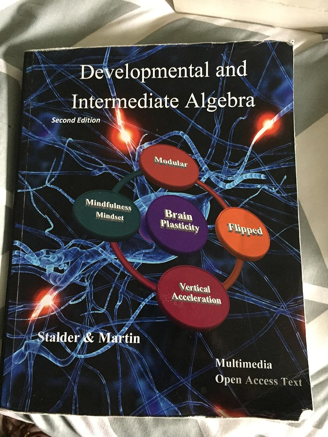 DEVELOPMENTAL AND INTERMEDIATE ALGEBRA: STALDER & MARTIN: 9781506696485 ...