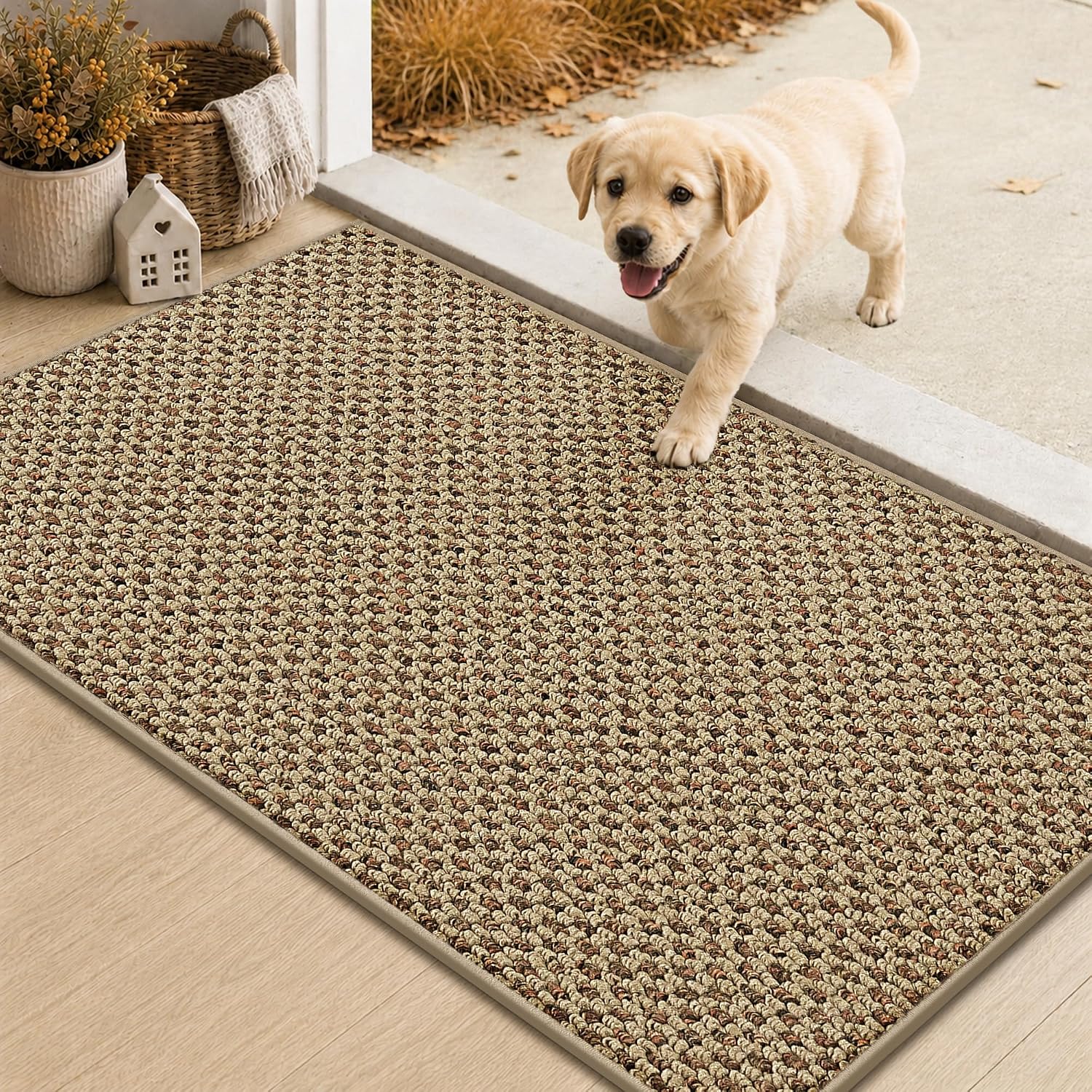 COSY HOMEER Door Mat Non-Slip Entryway Rugs Dirt Trapper, 17"x30", Beige