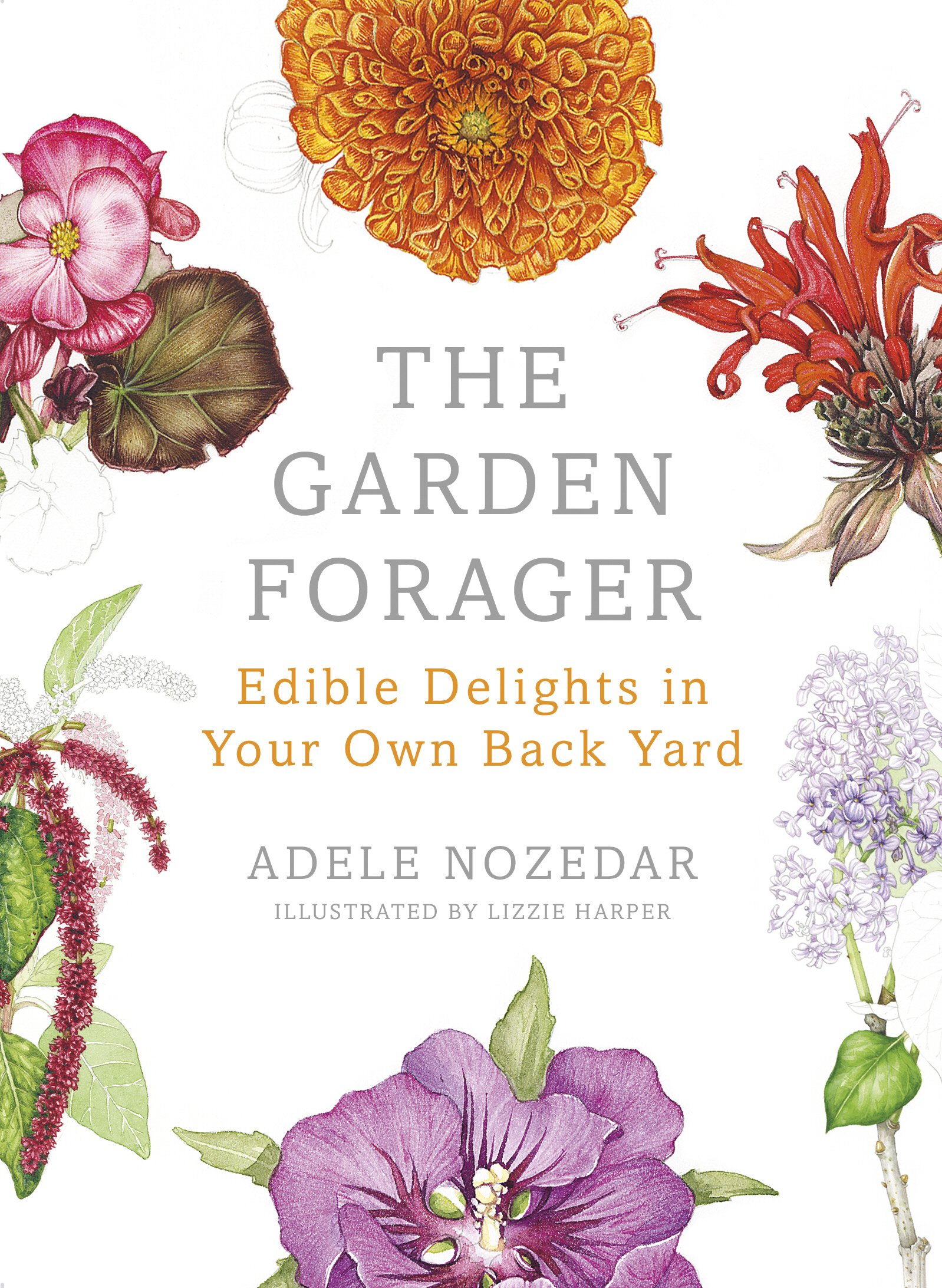 The Garden Forager by Adele Nozedar HARDBACK 9780224098892