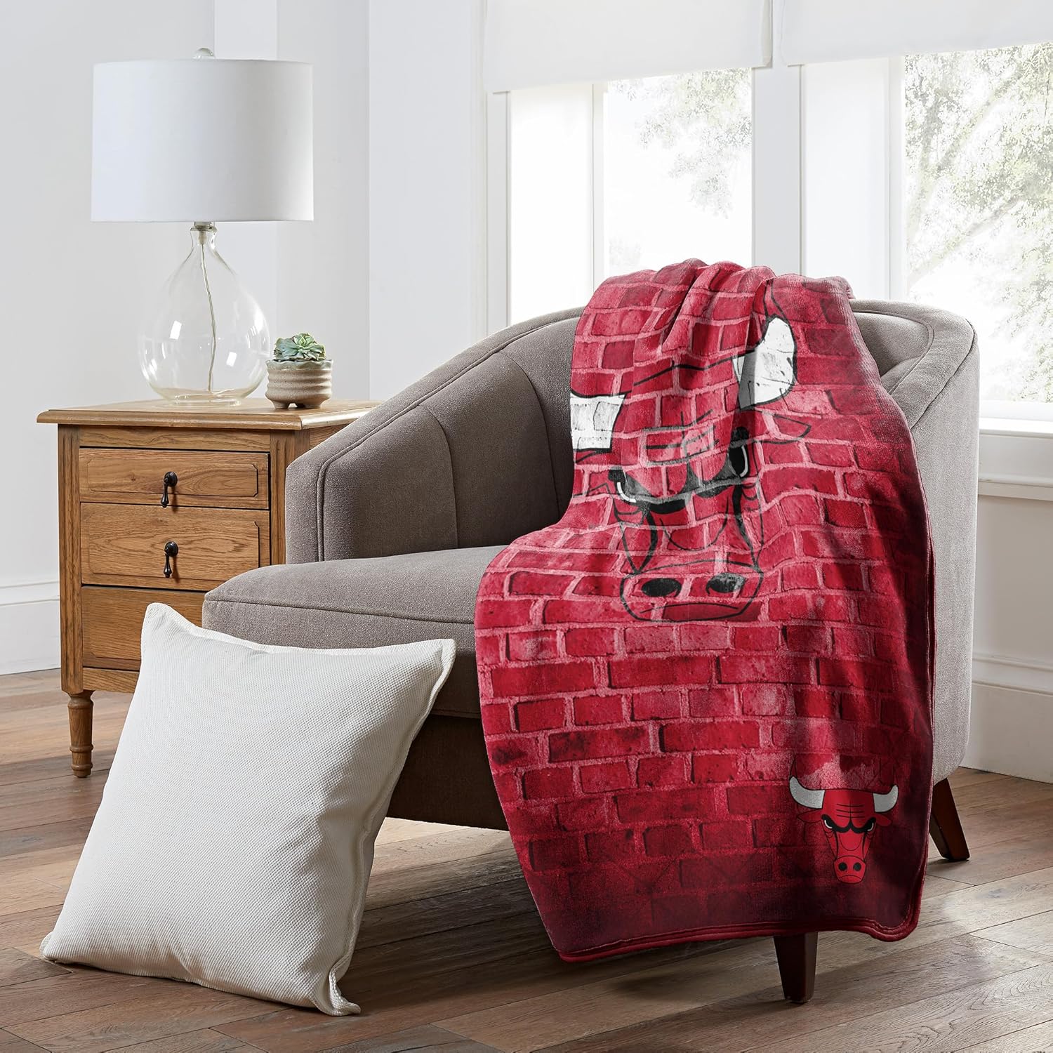 Northwest NBA Unisex-Adult Blanket