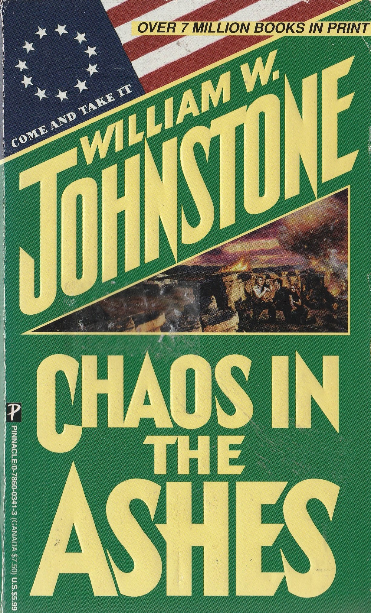 Buy Chaos In The Ashes — BookShops.in
