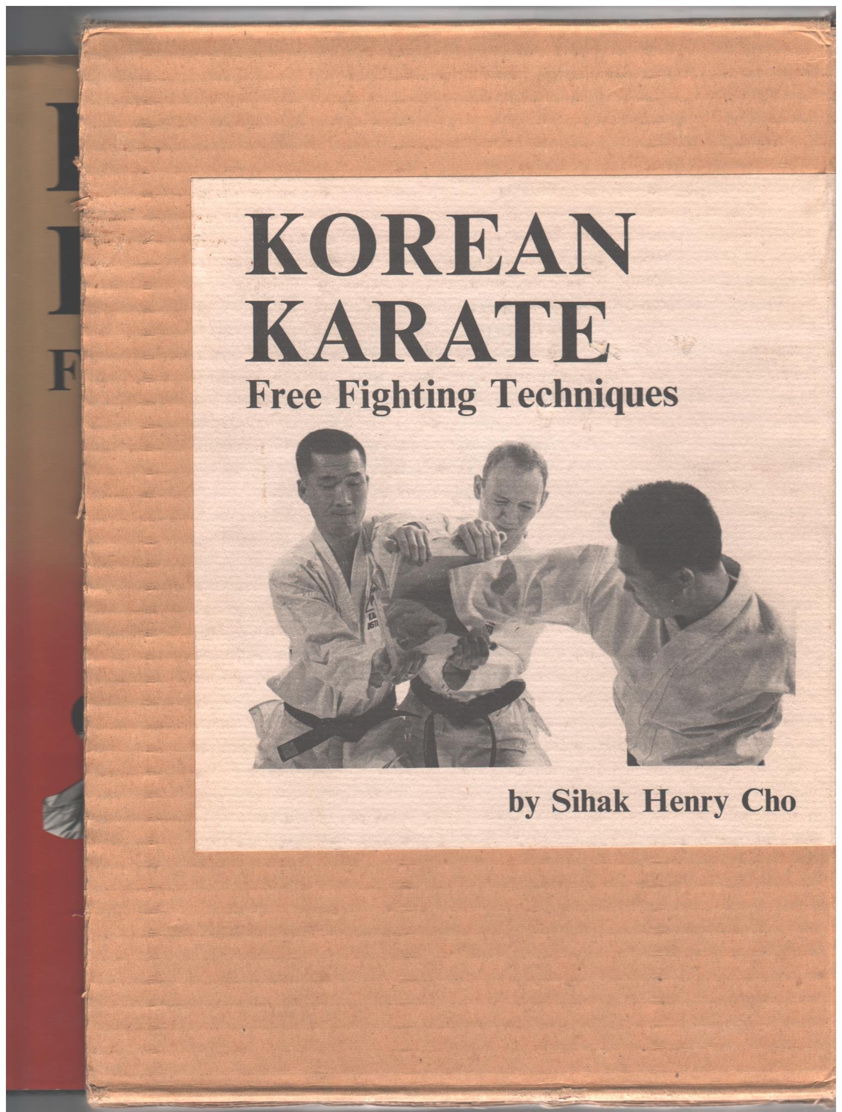 Korean Karate: Free Fighting Techniques