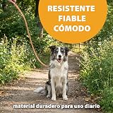 Ver la foto 6