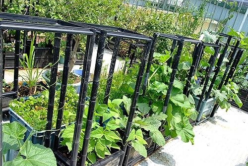 Miniatura 6 de Maceta trepadora para verduras y tomates con ruedas y maceta de 14 pulgadas de profundidad, material no tóxico protegido contra el sol, 24 pulgadas