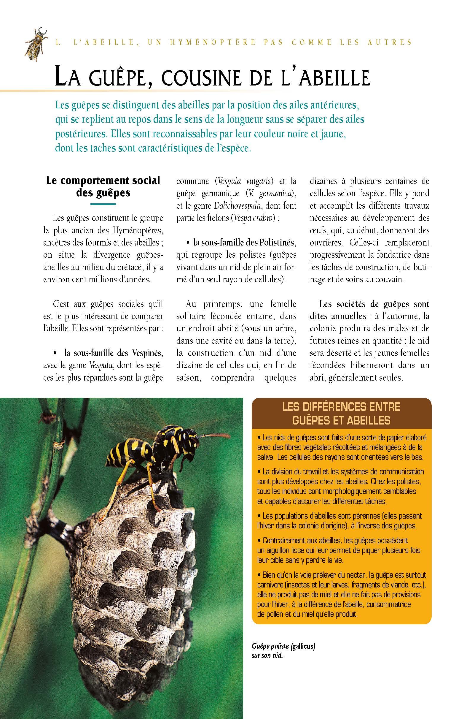 Le traité Rustica de l'apiculture version luxe