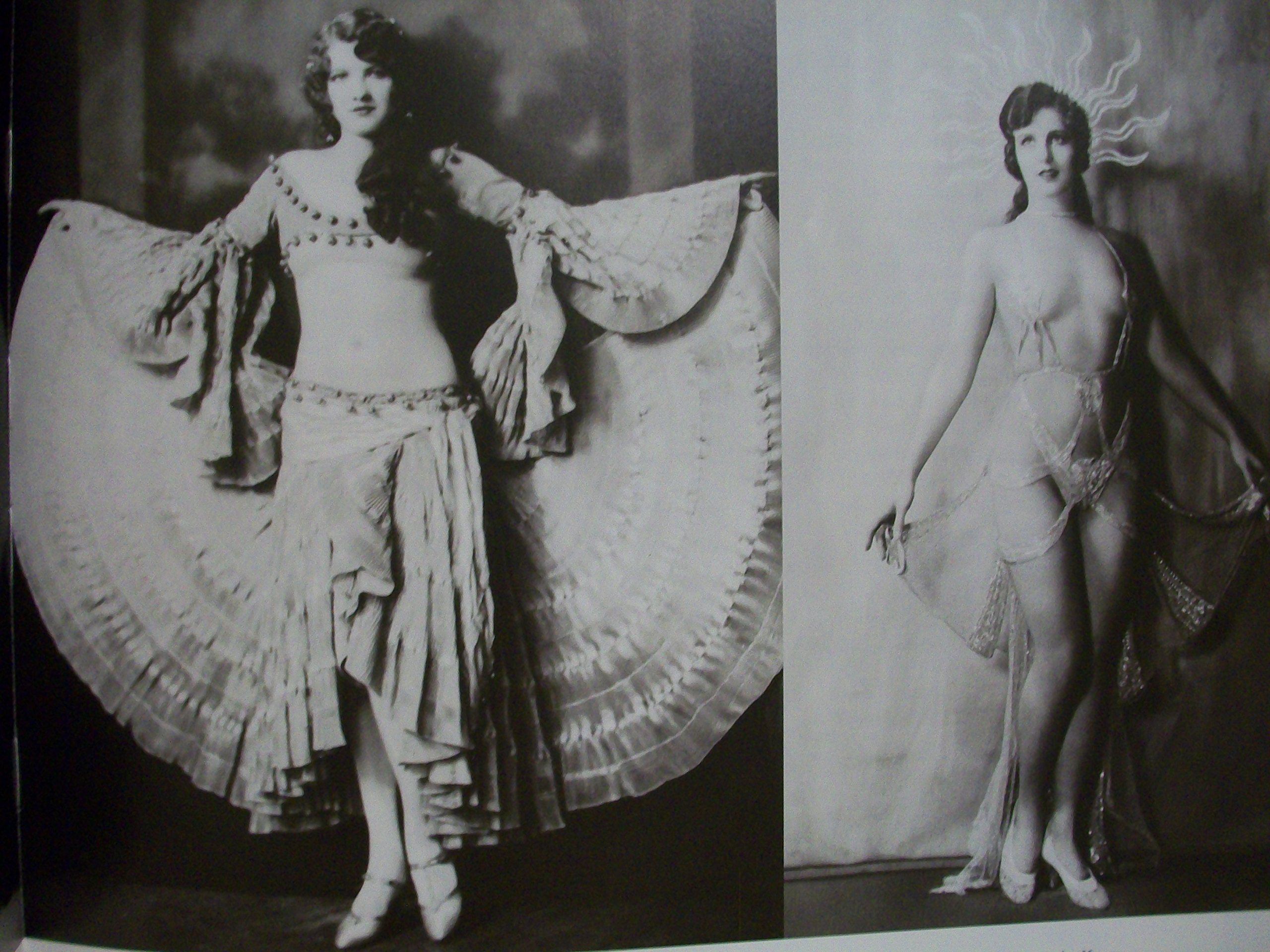 The New Amsterdam : The Biography of a Broadway Theater