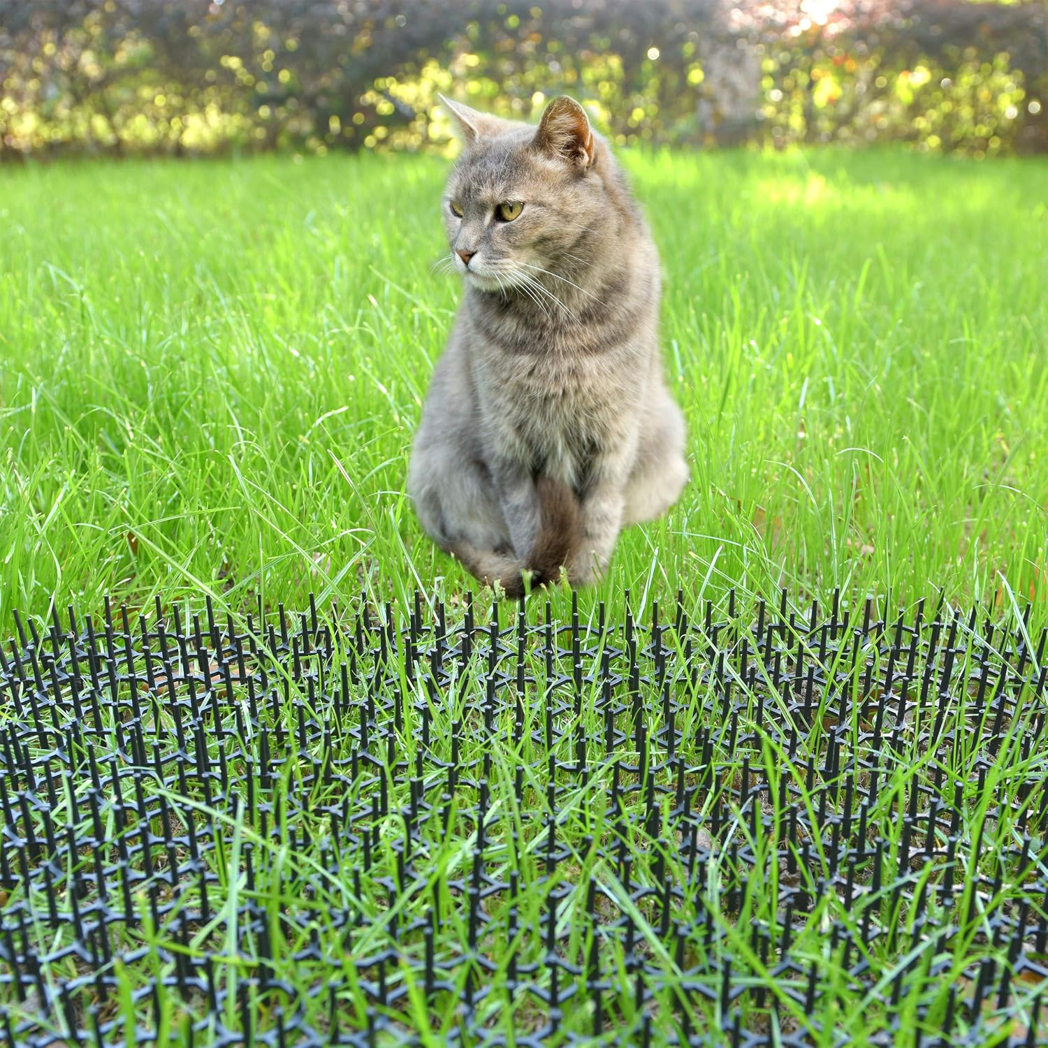 GarMills Cat Scat Mat with Spikes 6 Pack Humane Plastic Repellent for Indoor and Outdoor Garden Pest Deterrent Includes 6 Garden Staples