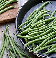 Vista 9 de Burpee - Semillas de frijol sin hebras Green Pod Bush, 4 onzas de semillas