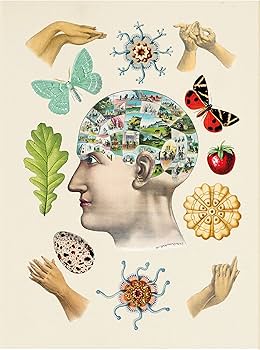 Antiquarian Sticker Book ジャンクジャーナル　素材 Amazon | The Antiquarian Sticker Book: An Illustrated