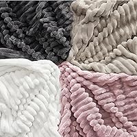 Vista 138 de Bedsure GentleSoft Twin Blanket for Couch - Cozy Soft Blankets for Women, Cute Small Fleece Throws for Girls, Light Grey, 60x80 Inches