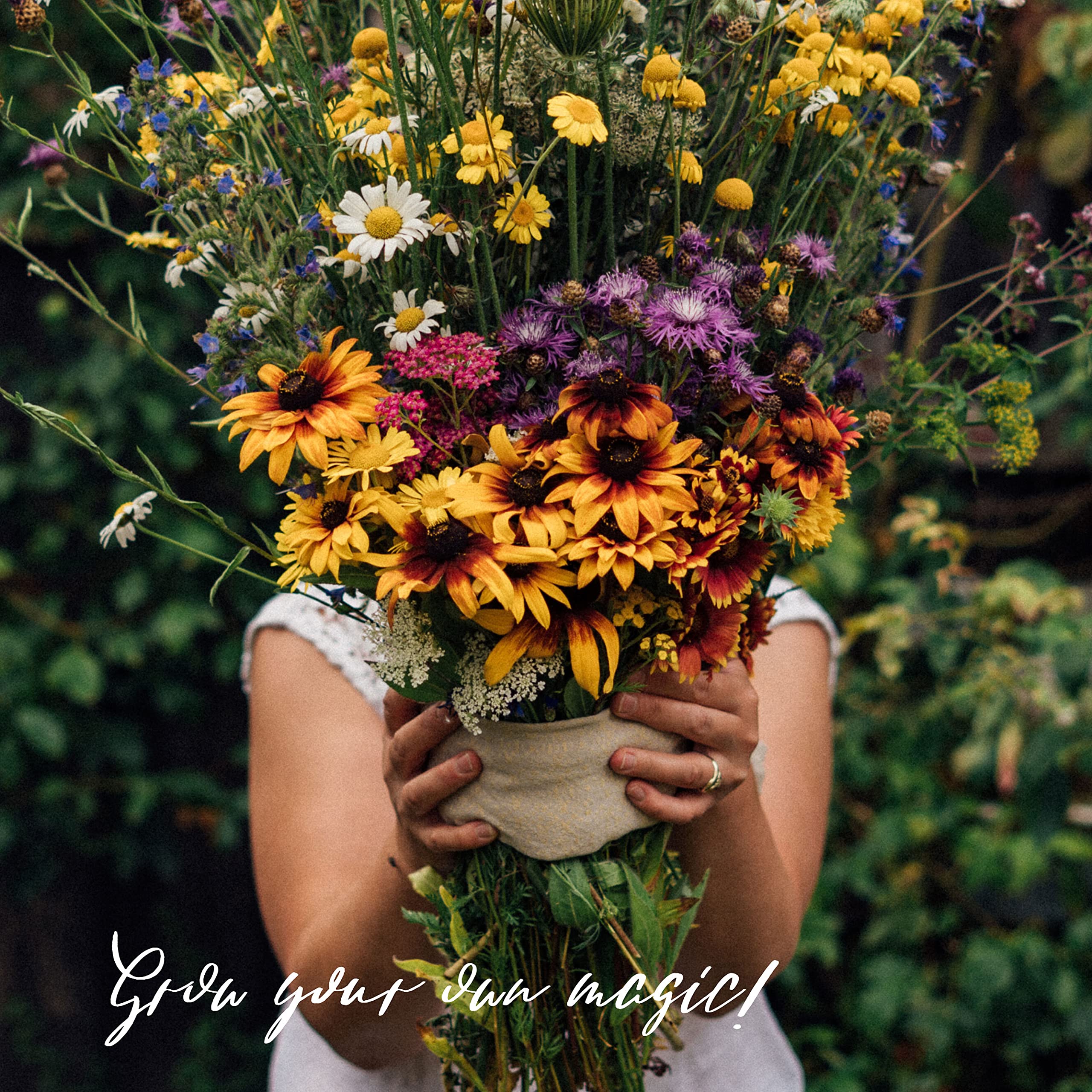 Coffret de multiplication de graines bio pour tous les jardiniers*en herbe, avec 12 variétés sélectionnées et éprouvées du monde des fleurs - Explosion de fleurs sauvages.