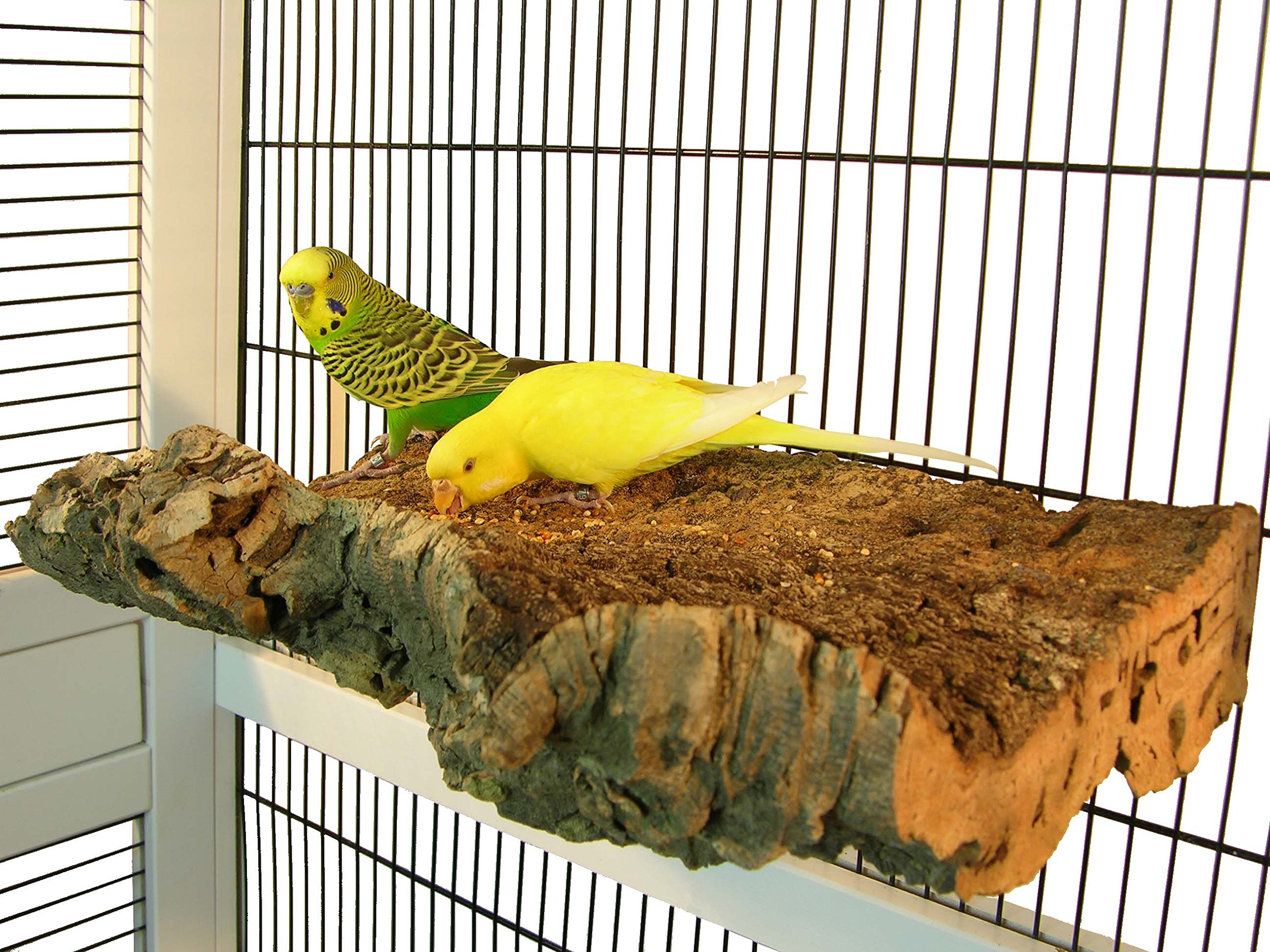 Korksitzbrett für Vögel - Größe S, M, L, XL, XXL - 100% Bio Vogelkäfig Zubehör - natürliches Kork Sitzbrett für Wellensittiche, Nymphensittiche, Papageien und Co. (XXL (34 x 17 cm))