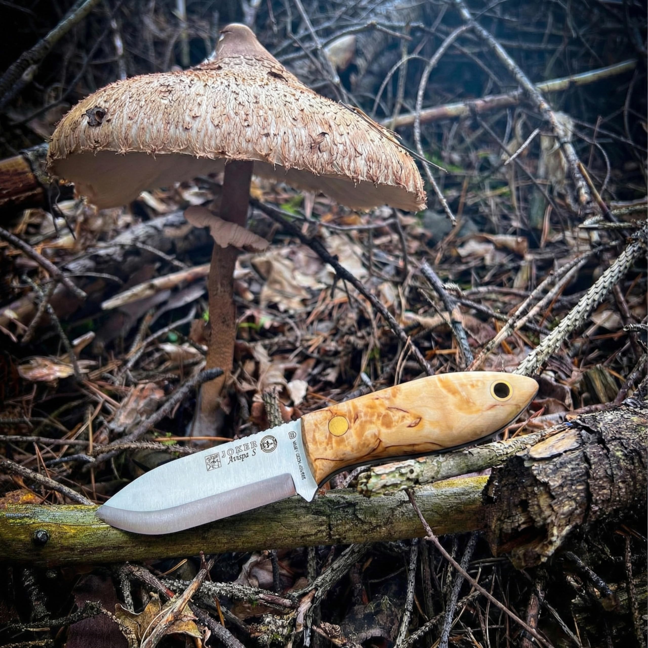 Joker Bushcraft-Messer Avispa S CL121, Griff aus lockigem Birkenholz, Gürtelmesser mit 8 cm Klinge mit Wirbelsäulengriff, inkl. brauner Lederscheide, Werkzeug zum Angeln, Jagen, Camping und Wandern