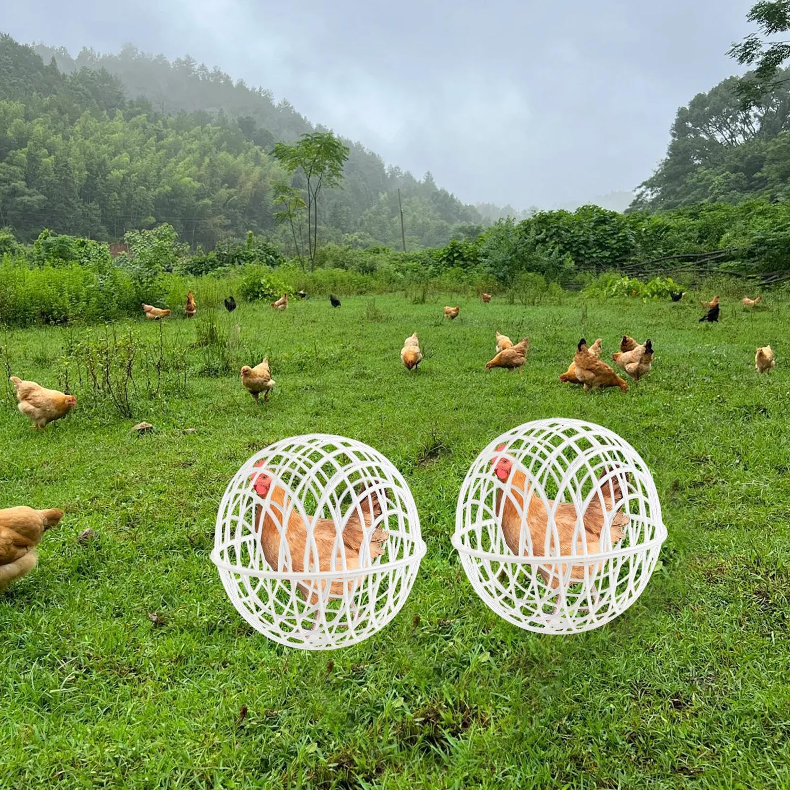 Hühnerball Gehege - 3 Teile PVC Mobiles Rollender Hühnerstall Freilandgehege | Sicher Laufnetz Tragbar Käfig, Für Vögel Tauben Hamster Küken Kaninchen Enten Kleintiere