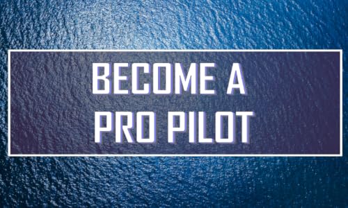 Flight Simulation #TOP2