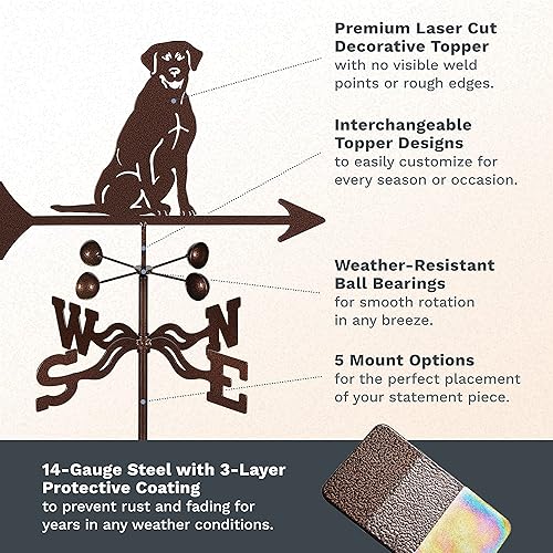 Miniatura 3 de EZ Vane - Veleta de acero para laboratorio, 21 pulgadas de altura, incluye soporte de techo de metal, vasos de viento y soportes, hecho a mano y de