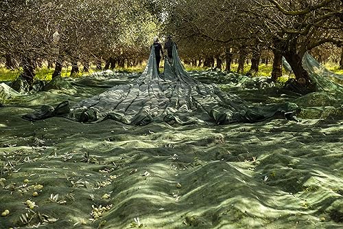 Miniatura 3 de Ravida, Aceite de oliva virgen extra, 25.1 onzas