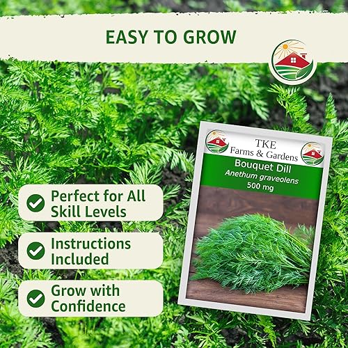 Miniatura 3 de TKE Farms - Ramo de semillas de eneldo para plantar, 500 mg, Anethum graveolens, cantidad 3
