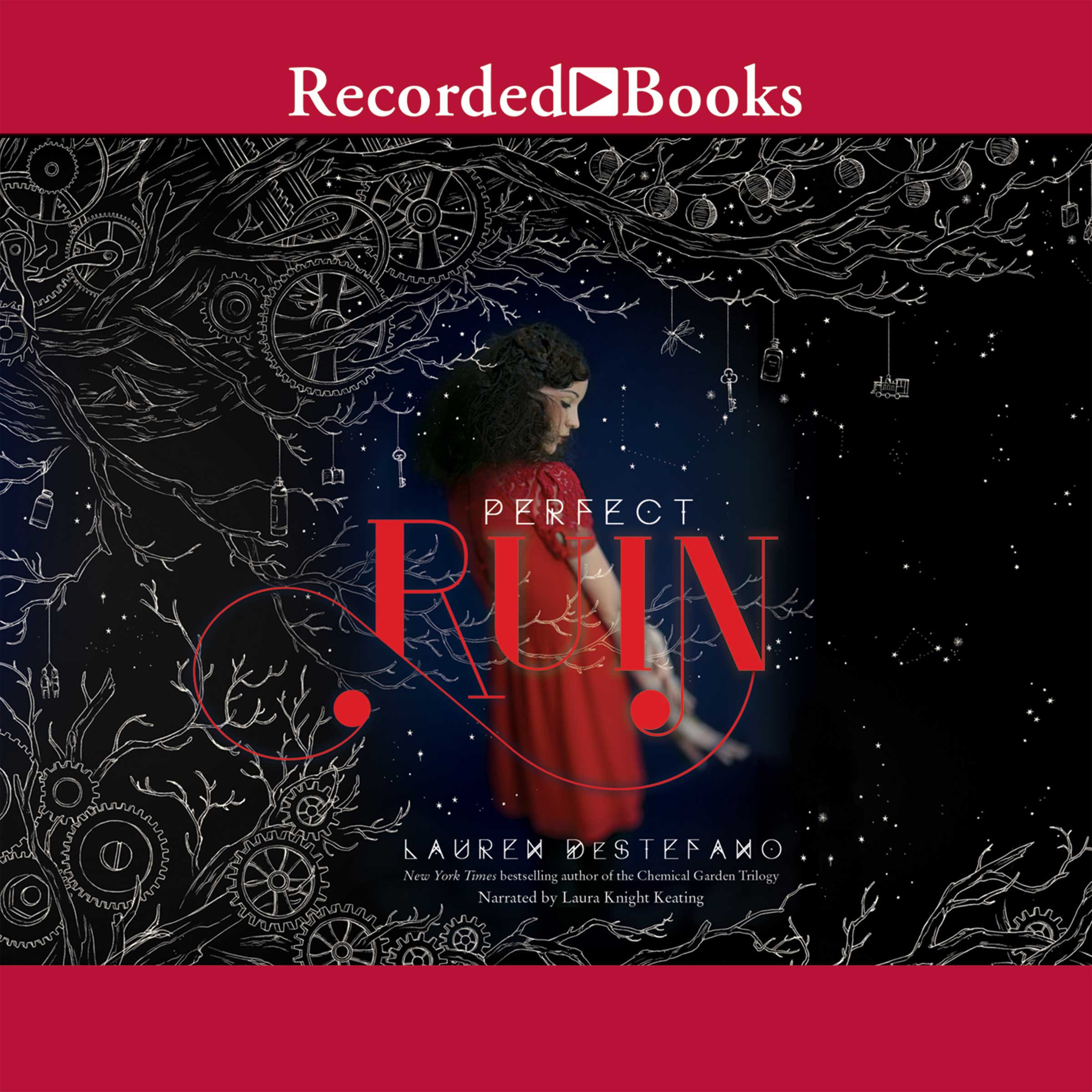 Cover art for Perfect Ruin