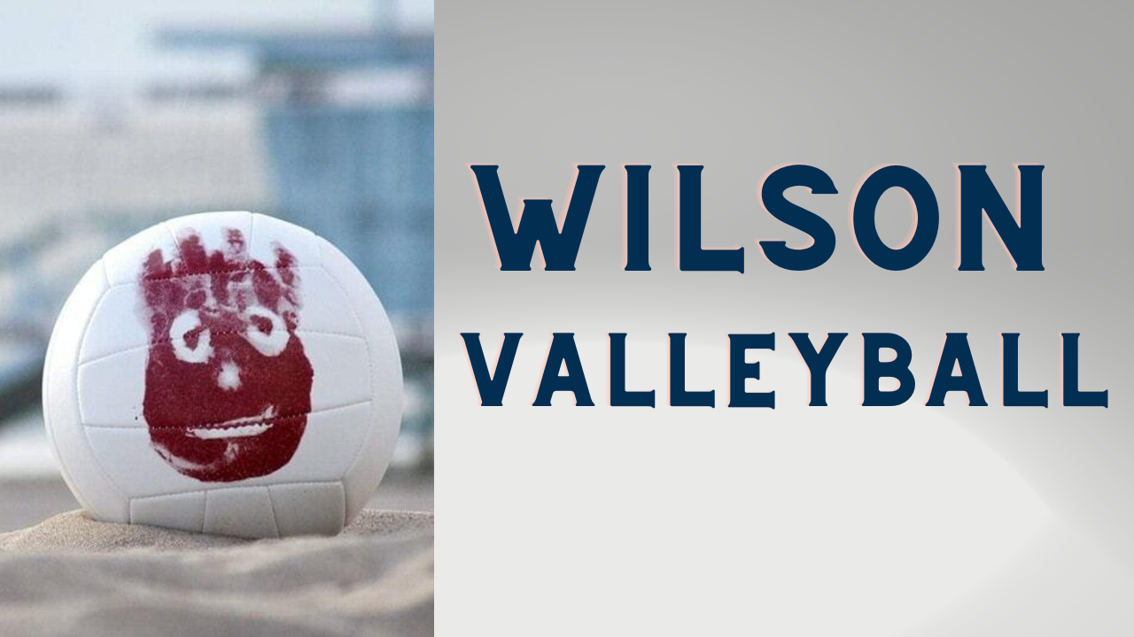 Amazon.com: Wilson Sporting Goods: Castaway