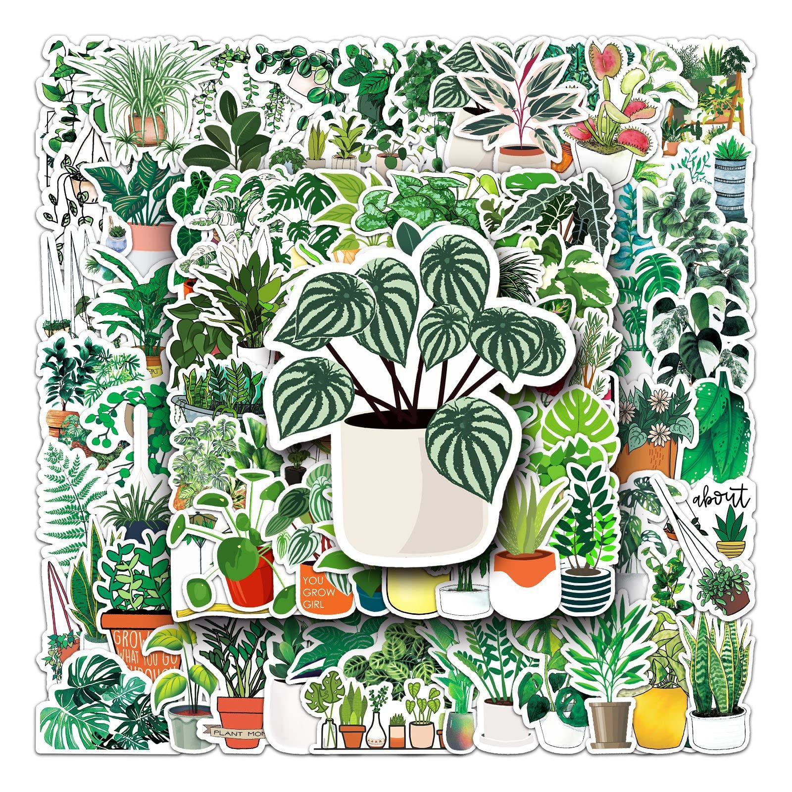 100pcs Green Plant Stickers Stickers for Kids Teens Adult (Green Plant)Flower Cactus Stickers, Laptop, Skateboard, Water Bottles, Computer, Phone, Scrapbook Stickers