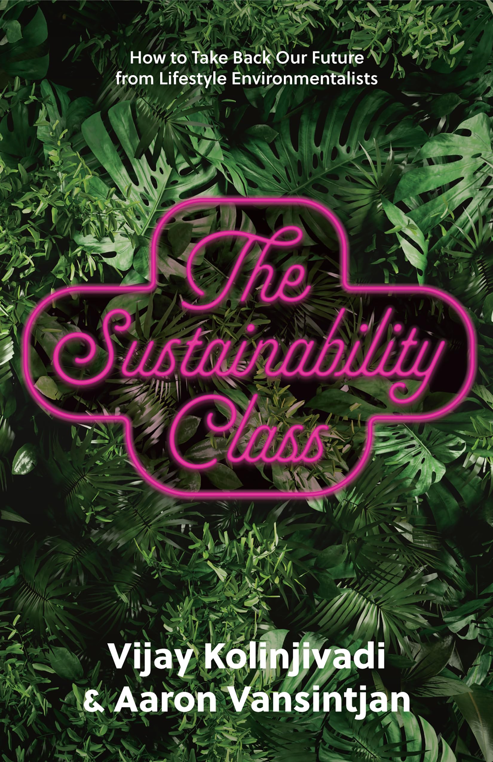 Buy The Sustainability Class: How to Take Back Our Future from Lifestyle Environmentalists — BookShops.in