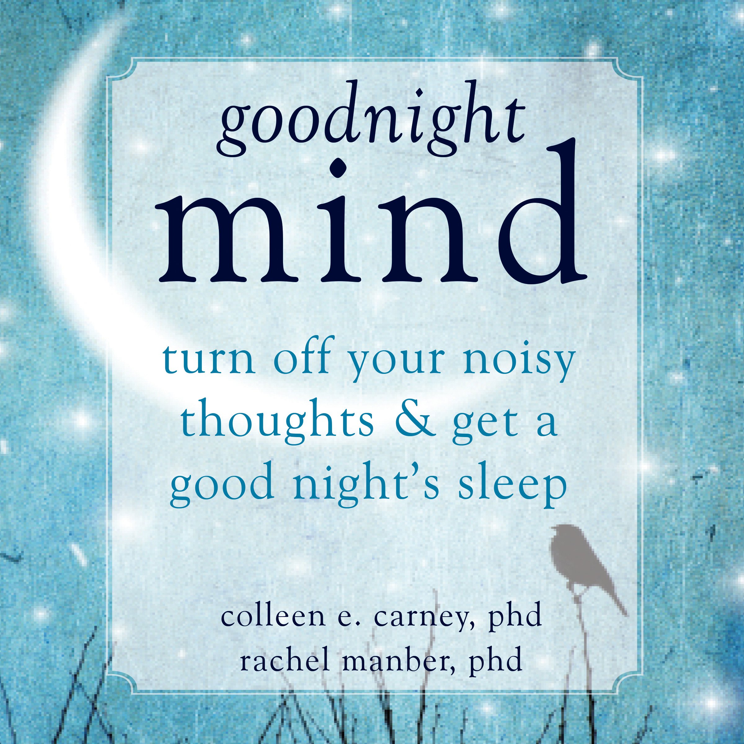 Cover art for Goodnight Mind